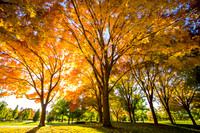 Ann Morrison Park, Boise, ID