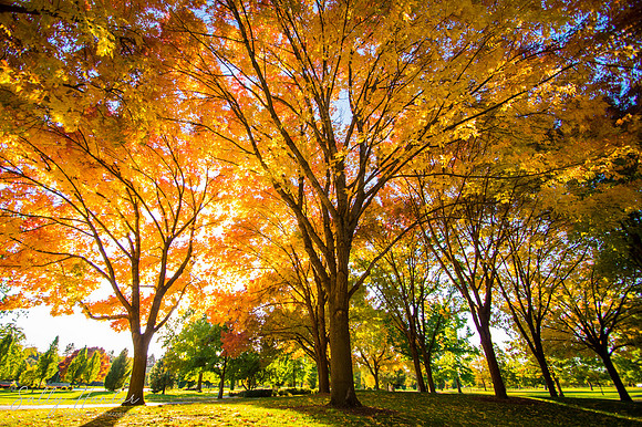Ann Morrison Park, Boise, ID