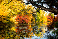 Kathryn Albertson Park, Boise, ID