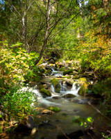 Middle Fork of the Salmon River, ID